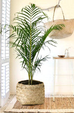 Hand woven Basket Bamboo basket- Set of 2