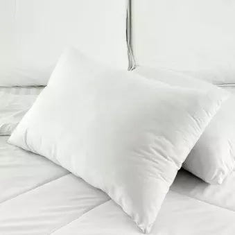 Filled Pillow 1 Pc