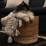 Daisy White  Crochet Throw