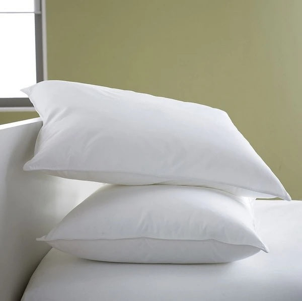 Filled Pillows-Pack of 2